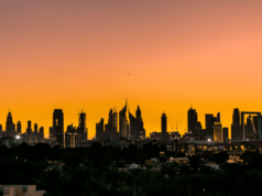 FREE ZONE: DUBAI – PARTE II