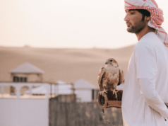 TRIPADVISOR: DUBAI DECRETATA PRIMA DESTINAZIONE 2022