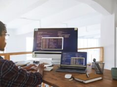 COME GUADAGNARE ONLINE COME SVILUPPATORE DI TEMI E PLUGIN