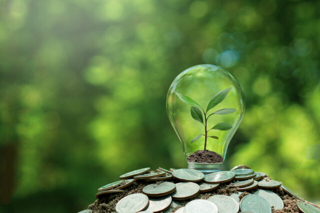 GLI UAE INVESTONO 132,5 MILIARDI DI AED IN PROGETTI PER L'ENERGIA UAE energia