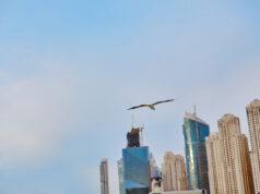EMIRATES RADDOPPIA I VOLI ROMA-DUBAI Emirates