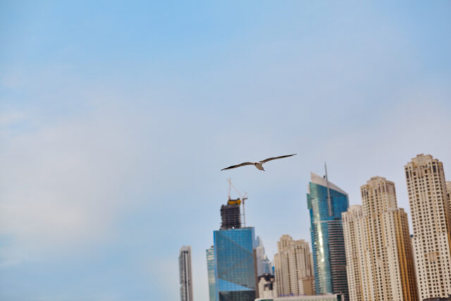 EMIRATES RADDOPPIA I VOLI ROMA-DUBAI Emirates