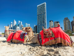 5,18MLN DI VISITATORI A DUBAI NEL PRIMO TRIMESTRE 2024 Visitare Dubai
