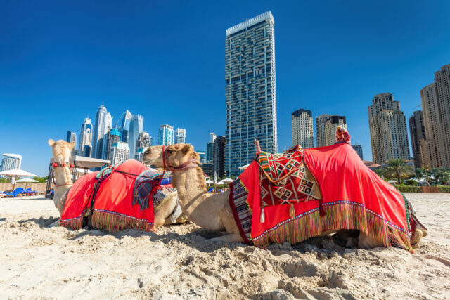 Visitare Dubai