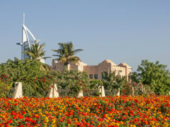 MIRACLE DUBAI GARDEN: IL GIARDINO PIÙ GRANDE AL MONDO Giardino a Dubai