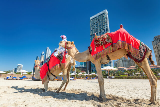 VACANZE A DUBAI: IL TREND 2025 Vacanze a Dubai