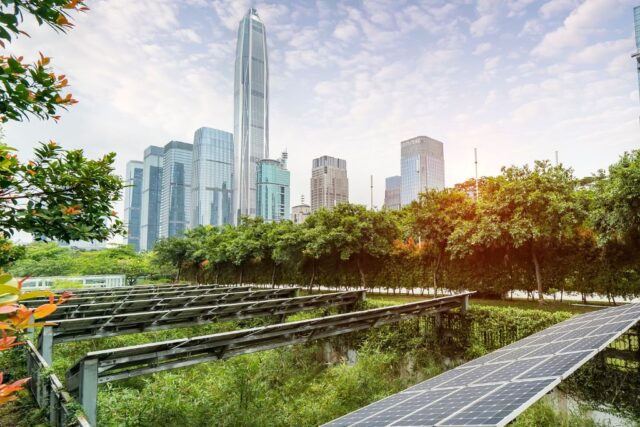 Investire a Dubai nel green business: cresce il mercato 2025